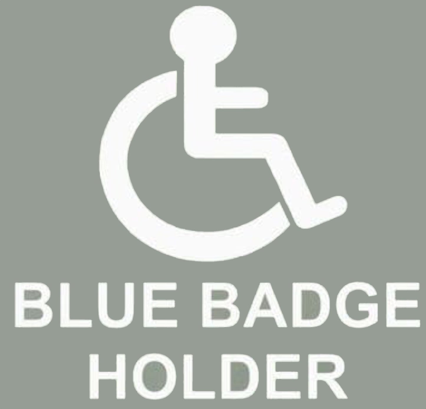 Blue Badge Protector 'Guide' Pack - Large Protector
