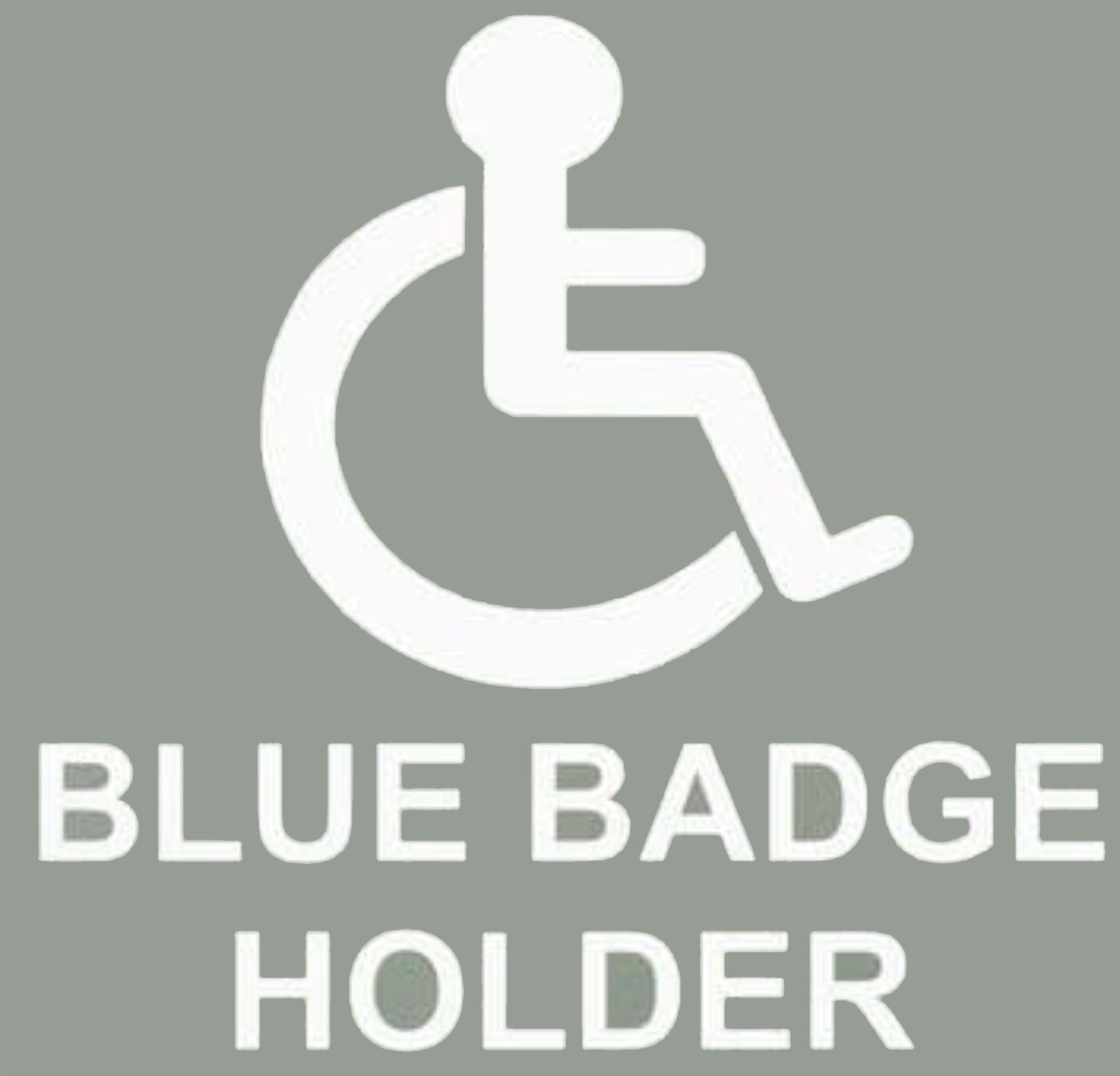2 stuks ST Embleem Auto Sticker Van Toepassing op Auto Body Bagage en Andere Items Auto Accessoires (rood zilver 2 stuks ST Embleem Auto Sticker Van Toepassing op Auto Body Bagage en Andere Items Auto Accessoires (rood zilver